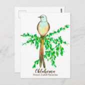Oklahoma Staat Bird Scissance Flycatcher Postkarte (Vorne/Hinten)