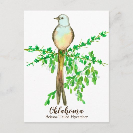 Oklahoma Staat Bird Scissance Flycatcher Postkarte (Vorderseite)
