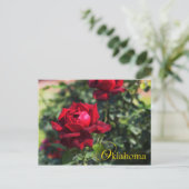 Oklahoma Staat Blume: Oklahoma Rose Postkarte (Stehend Vorderseite)