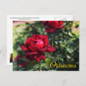 Oklahoma Staat Blume: Oklahoma Rose Postkarte (Vorne/Hinten)