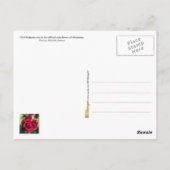 Oklahoma Staat Blume: Oklahoma Rose Postkarte (Rückseite)