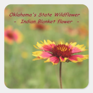 Oklahoma Staat Blume Stickers
