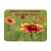 Oklahoma Staat Wildblume Magnet (Horizontal)