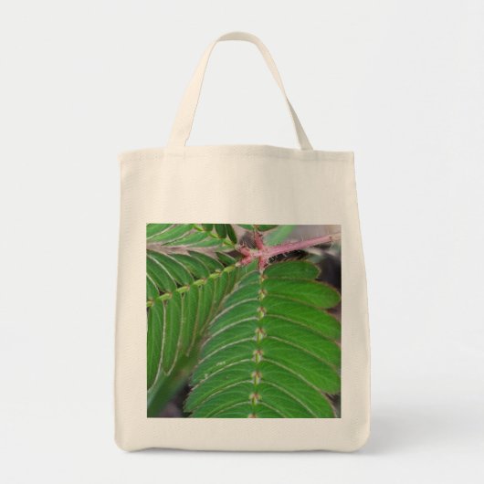 Öko-freundliche Grocery Tasche mit grünem Leaf Des (Vorne)
