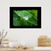 ÖKO-Poster zur Erhaltung der WASSER Poster (Küche)