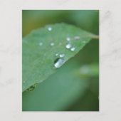 Öko Postkarte (Vorderseite)