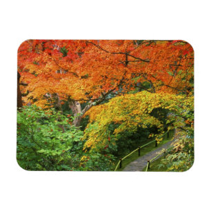 Okochi Sanso, Arashiyama, Kyoto, Japan 2 Magnet