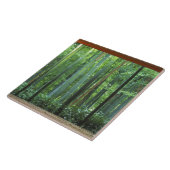 Okochi Sanso, Arashiyama, Kyoto, Japan 3 Fliese (Seite)