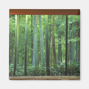 Okochi Sanso, Arashiyama, Kyoto, Japan 3 Magnet