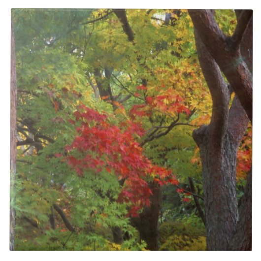 Okochi Sanso, Arashiyama, Kyoto, Japan 5 Fliese (Vorderseite)