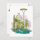 Ökologie: Pflanze eines Baumes - Postkarte (Vorne/Hinten)