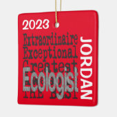 Ökologin Extraordinaire CUSTOM Keramikornament (Links)