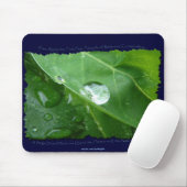 ÖKOLOGISCHE WASSERKONSERVIERUNG MOUSEPAD (Mit Mouse)
