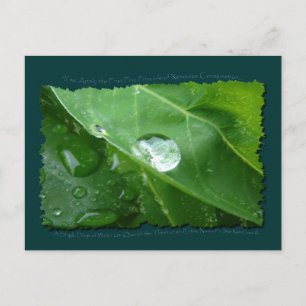 ÖKOLOGISCHE WASSERKONSERVIERUNG POSTKARTE