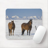 Okotoks, Alberta, Canada Mousepad (Mit Mouse)