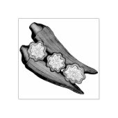 Okra Pods Veggie Gemüse Gumbo Südliche Lebensmitte Gummistempel (Prägung)