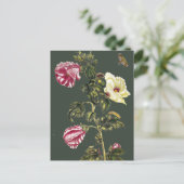 Okra Postkarte (Stehend Vorderseite)