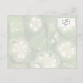 Okra-Scheiben auf Postkarte (Rückseite)