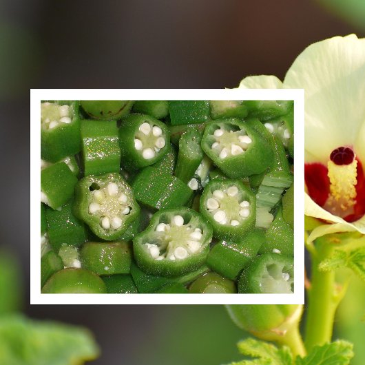 Okra-Scheiben auf Postkarte