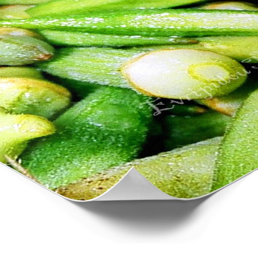 Okras grünes Gemüse noch Lebensplakat Poster (Ecke)