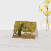 Okt 2006 037 karte (Gelbe Blume)