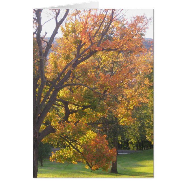 Oktober (Vorne)