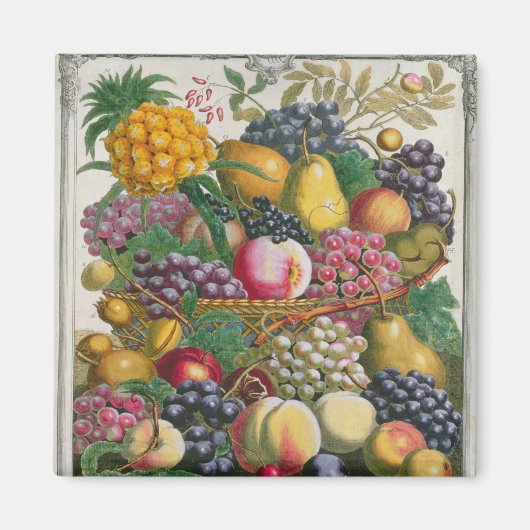Oktober, ab "Zwölf Monate Obst" Magnet (Vorne)