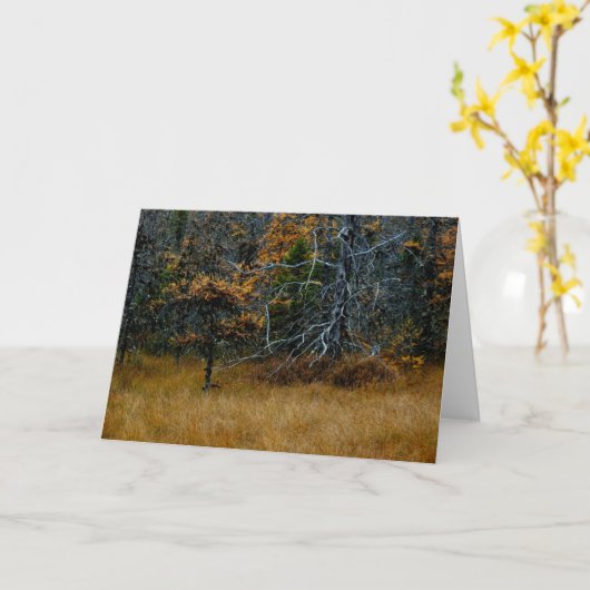 "Oktober" Adirondack Forest and Trees Scene Karte (Gelbe Blume)
