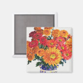 Oktober Chrysanthemen Magnet (Vorderseite/Rückseite)