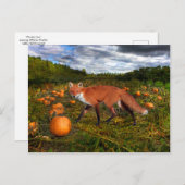 Oktober Fox Postkarte (Vorne/Hinten)