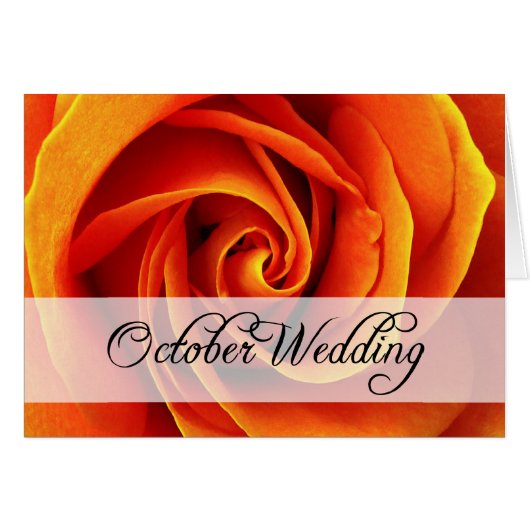 Oktober Hochzeit : Rose der Saison: (Vorderseite (Horizontal))