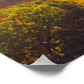 OKTOBER IM NATIONALPARK DER BÄRDUNES POSTER (Ecke)