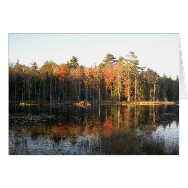 Oktober in New Hampshire (Vorderseite (Horizontal))