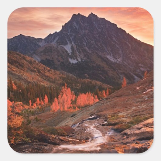 Oktober-Licht auf das Scheinwerferbecken Quadratischer Aufkleber (Vorderseite)