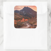 Oktober-Licht auf das Scheinwerferbecken Quadratischer Aufkleber (Tasche)