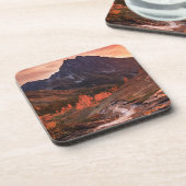 Oktober-Licht auf Scheinwerfer-Becken Getränkeuntersetzer (Linke Seite)