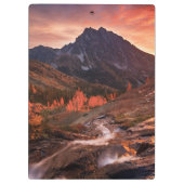 Oktober-Licht auf Scheinwerfer-Becken Klemmbrett (Rückseite)