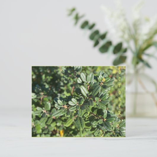 OKTOBER POSTKARTE (Stehend Vorderseite)