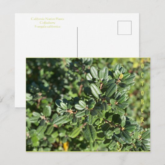 OKTOBER POSTKARTE (Vorne/Hinten)