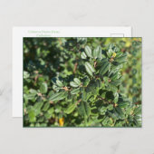 OKTOBER POSTKARTE (Vorne/Hinten)