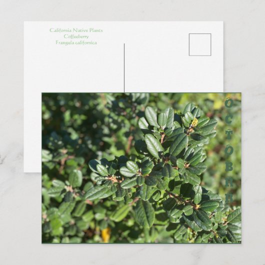 OKTOBER POSTKARTE (Vorne/Hinten)