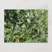 OKTOBER POSTKARTE (Vorderseite)