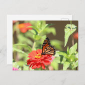 Oktober Postkarte (Vorne/Hinten)