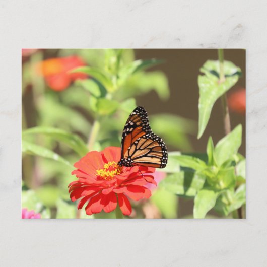 Oktober Postkarte (Vorderseite)