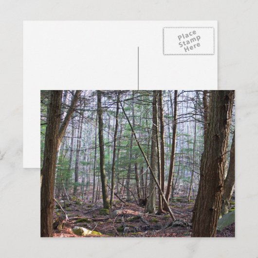 Oktober Postkarte (Vorne/Hinten)