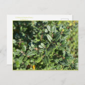 OKTOBER POSTKARTE (Vorne/Hinten)