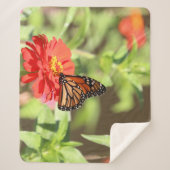 Oktober Sherpadecke (Vorderseite)