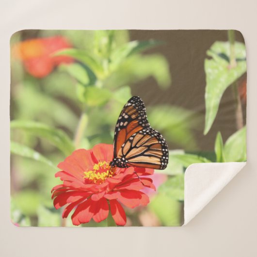 Oktober Sherpadecke (Vorderseite (Horizontal))