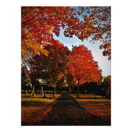 Oktober Shine Fotodruck