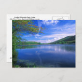 Oktober Staat Forest Berkshires Postkarte (Vorne/Hinten)